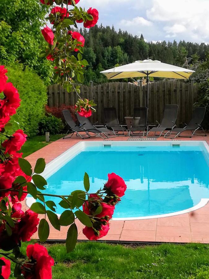 Ferienwohnung Mit Pool In Woerthersee Naehe Dellach  Extérieur photo